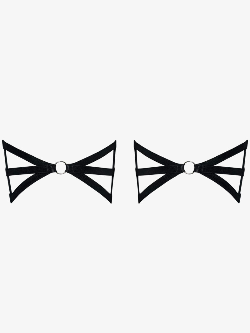 Чорні гартери